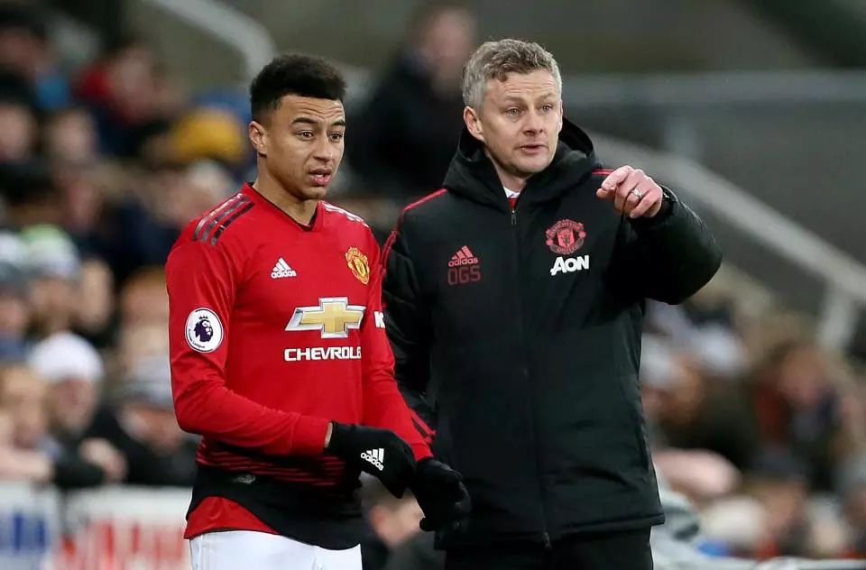 吸引更多新 吸引更多新